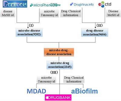 Metapath Aggregated Graph Neural Network and Tripartite Heterogeneous Networks for Microbe-Disease Prediction